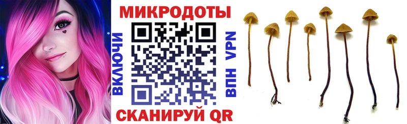 Псилоцибиновые грибы мухоморы  Отрадное 